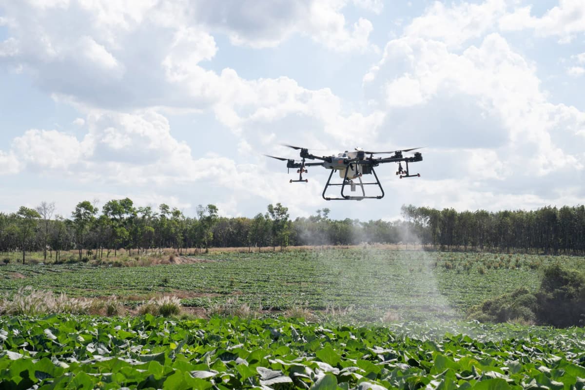 Adana drone ilaçlama operasyonu